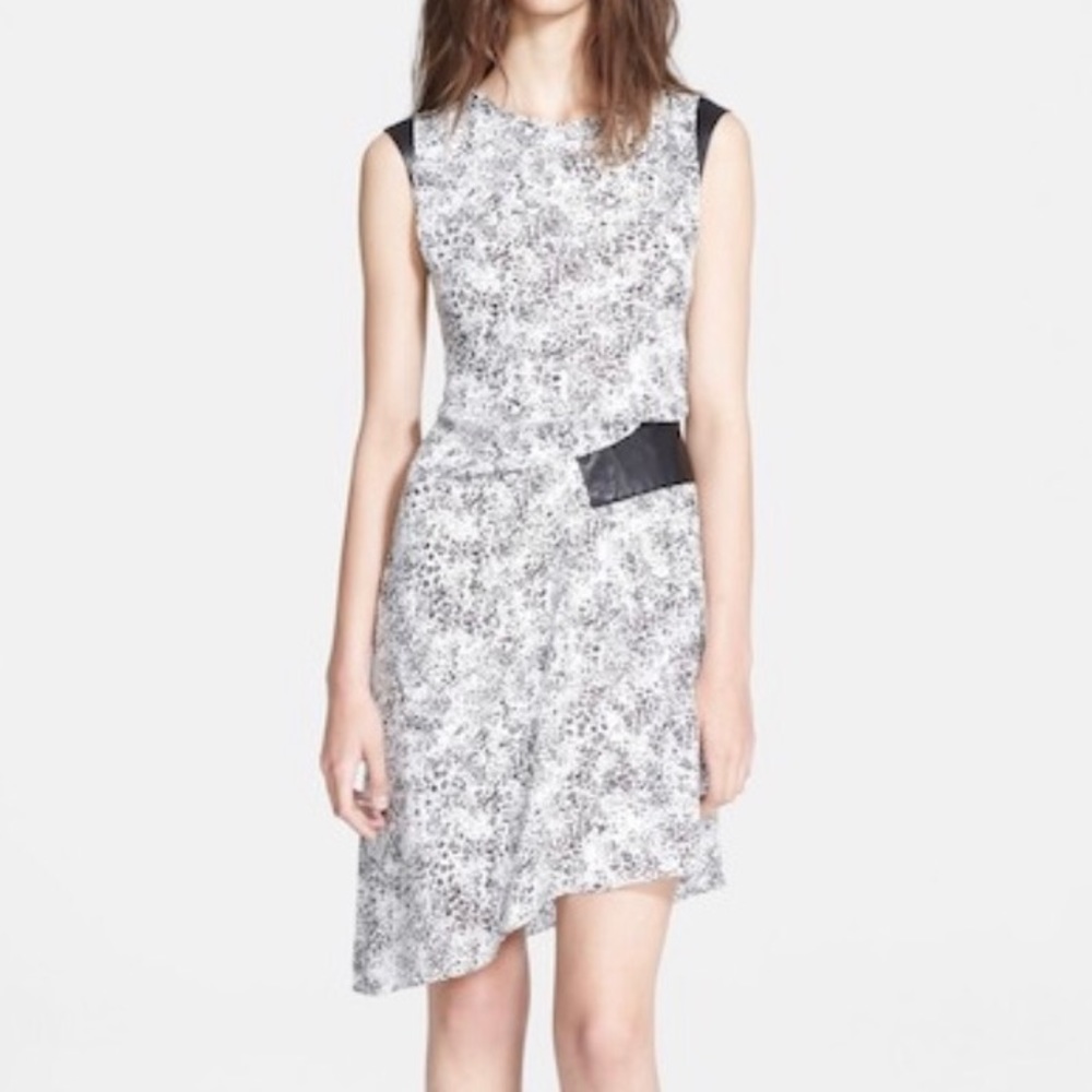 Haute Hippie Ditsy Leopard Leather Trimmed Dress